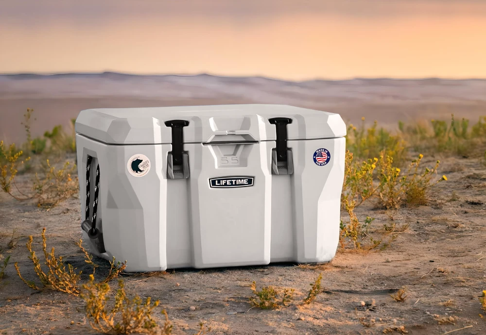 portable outdoor beverage cooler