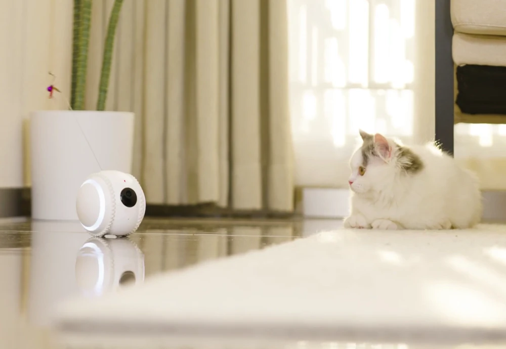 best pet video camera