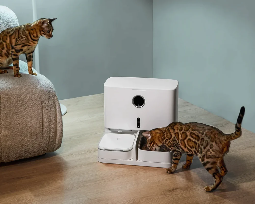 automatic pet food feeder