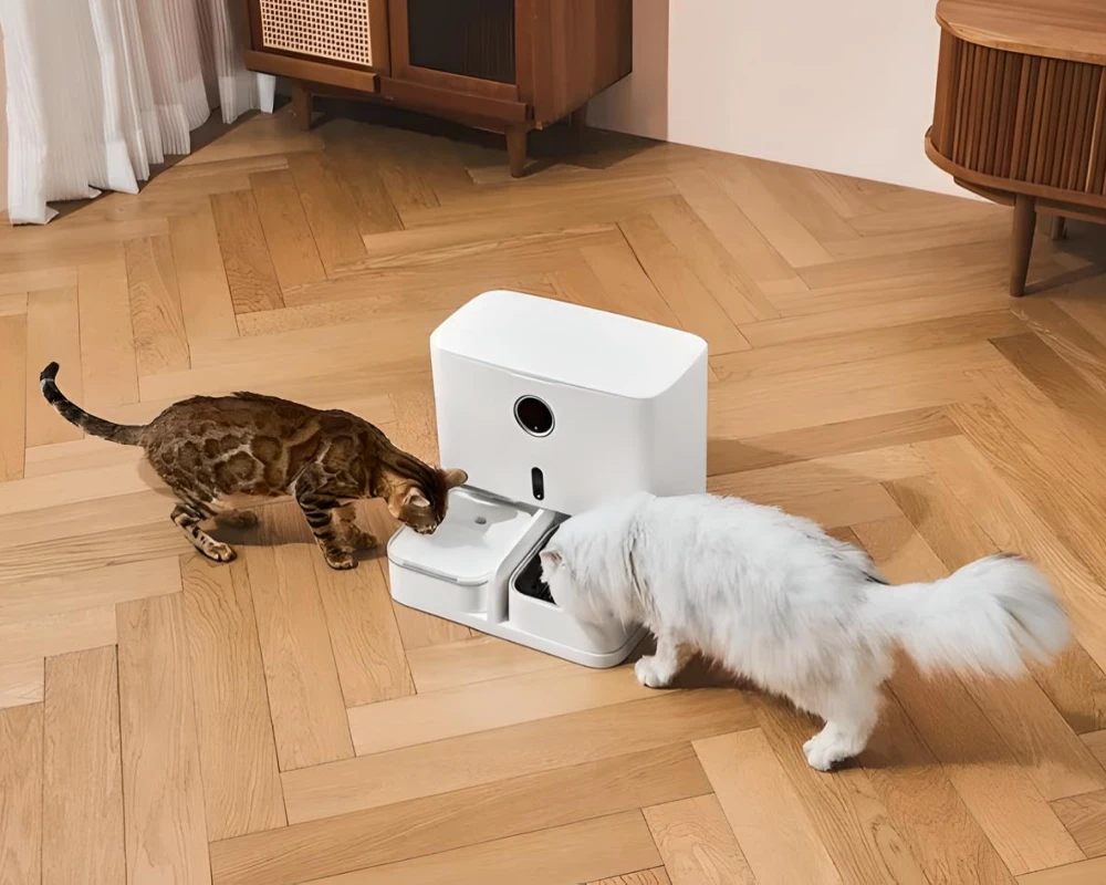 automatic pet food feeder